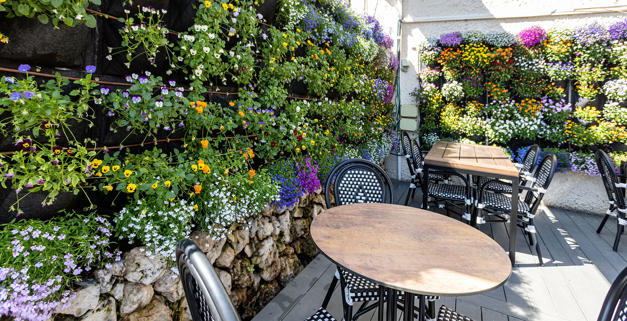 Outdoor seating area Ramat Hasharon branch