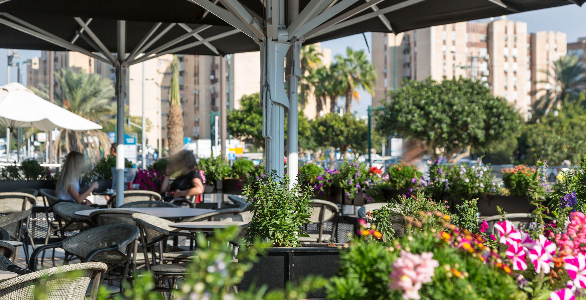 Outdoor seating area Ir Yamim branch